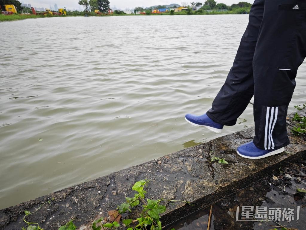 前年「世紀黑雨」令米埔魚塘溢水,即使退水後,水位仍與平地持平。 受訪者提供 前年「世紀黑雨」令米埔魚塘溢水,即使退水後,水位仍與平地持平。 受訪者提供