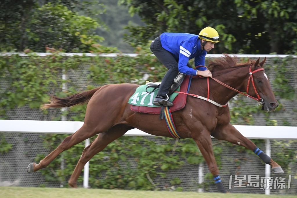 「勇威神駒」步伐硬朗勁度足夠，新勝馬夠晒醒神。