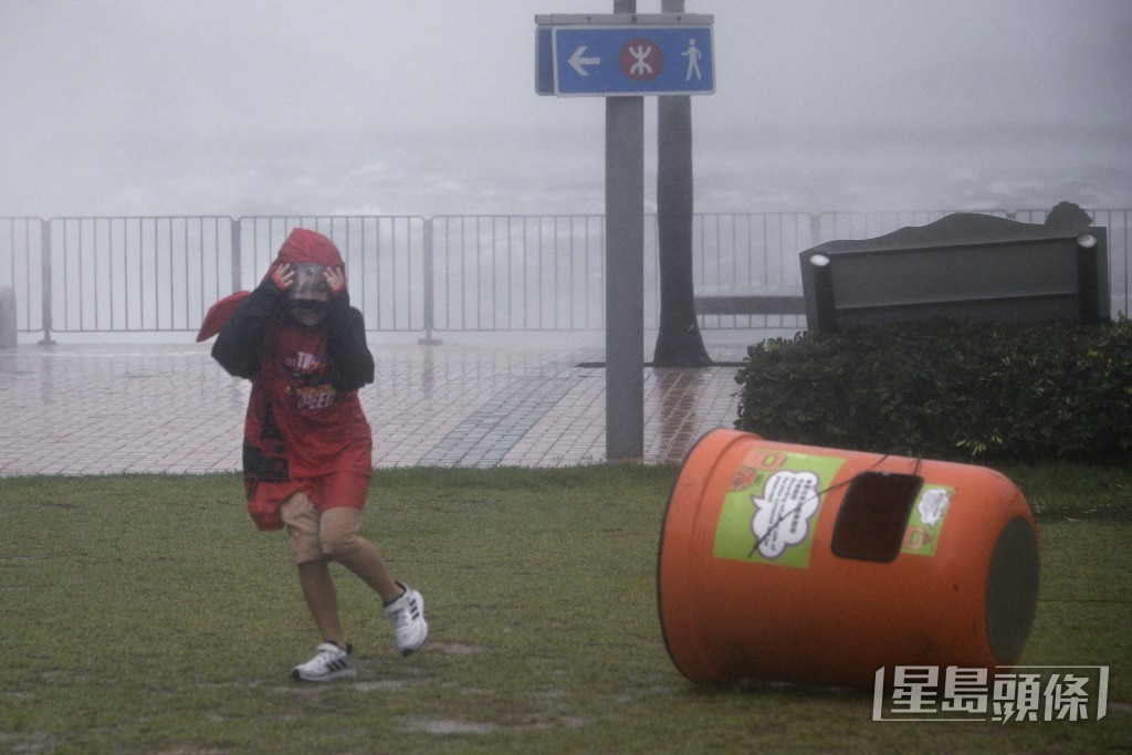 陳浩元攝