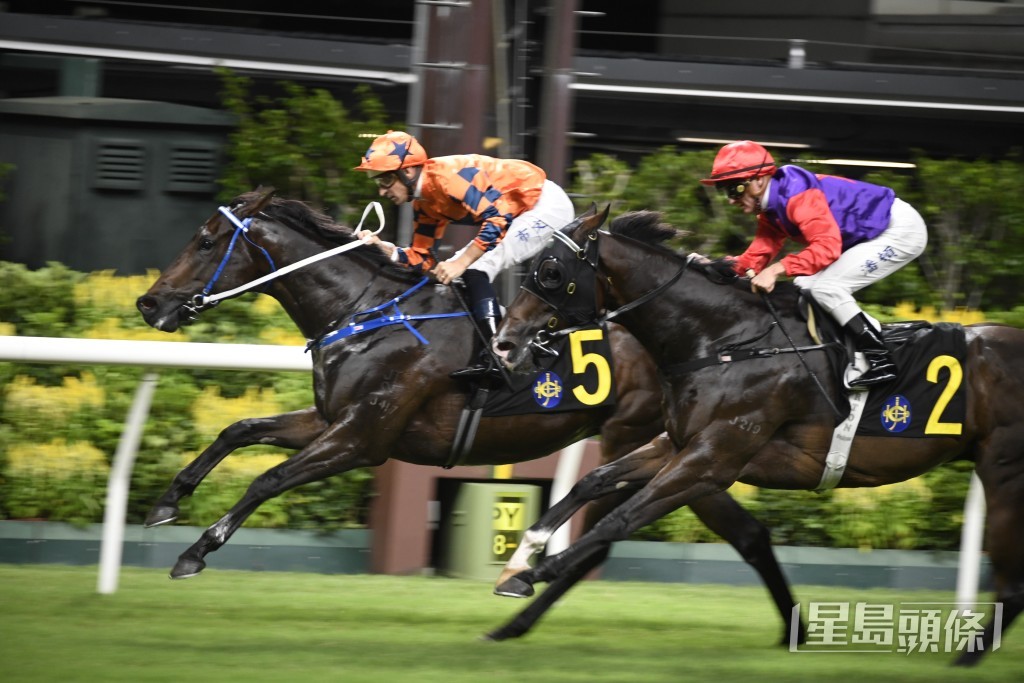 「精彩駿將」有力再下一城。