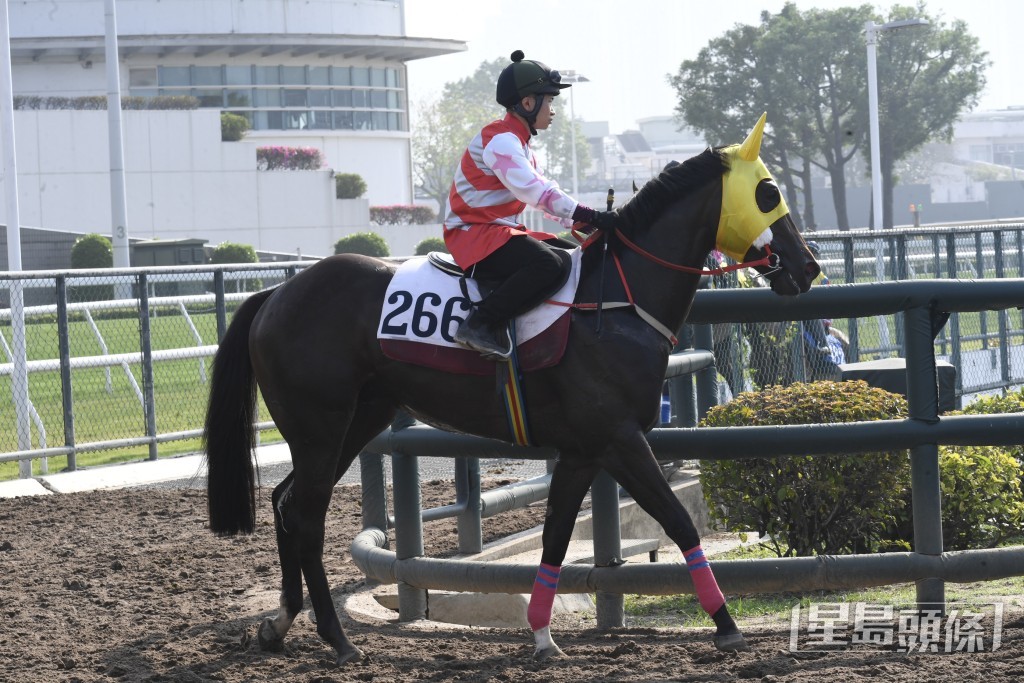 「長勝金剛」神生步爽充滿朝氣，勇況有增無減。