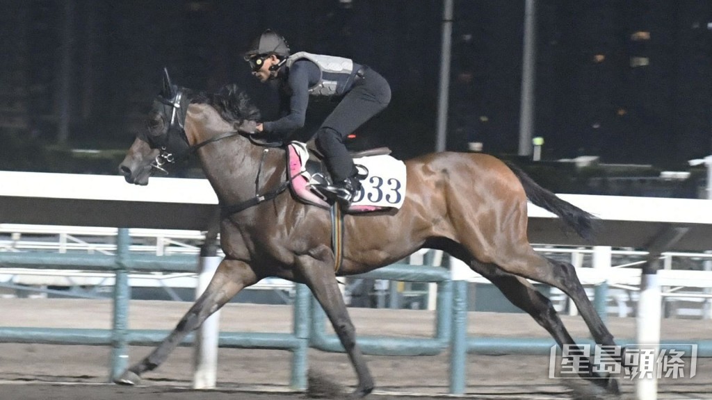 「興馳千里」毛色鮮明潤澤，落腳整齊走勢又硬淨。