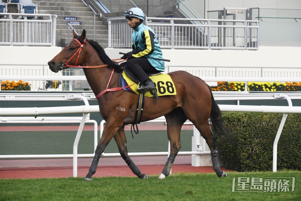 「精算暴雪」出腳靈活，理應可以勝任谷戰。