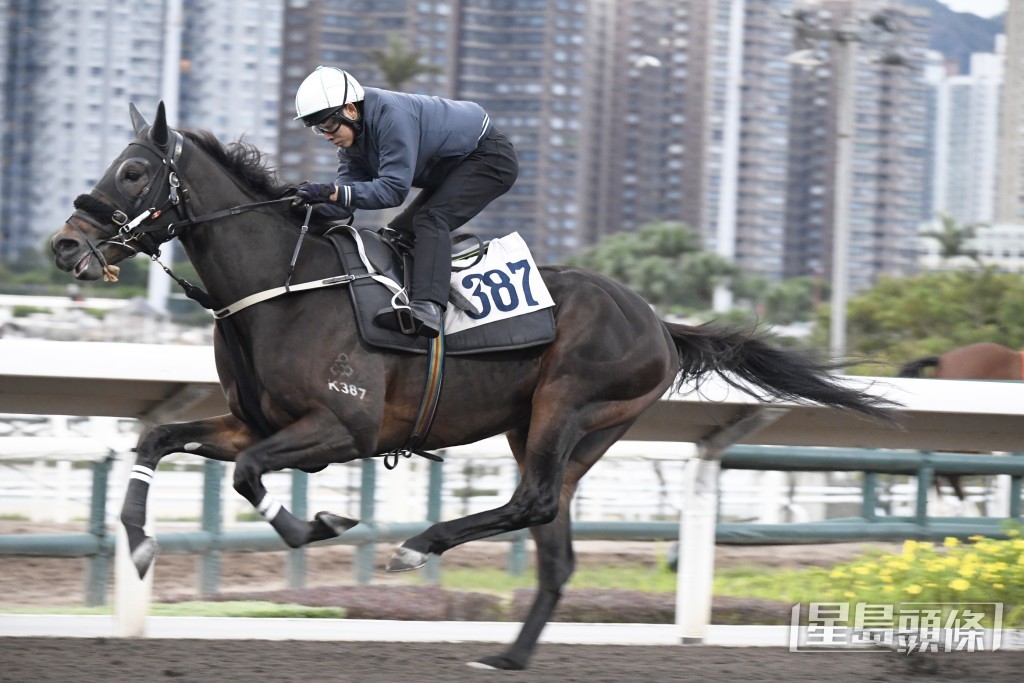 「智多多寶」精神奕奕饒具朝氣，進度極之出色。