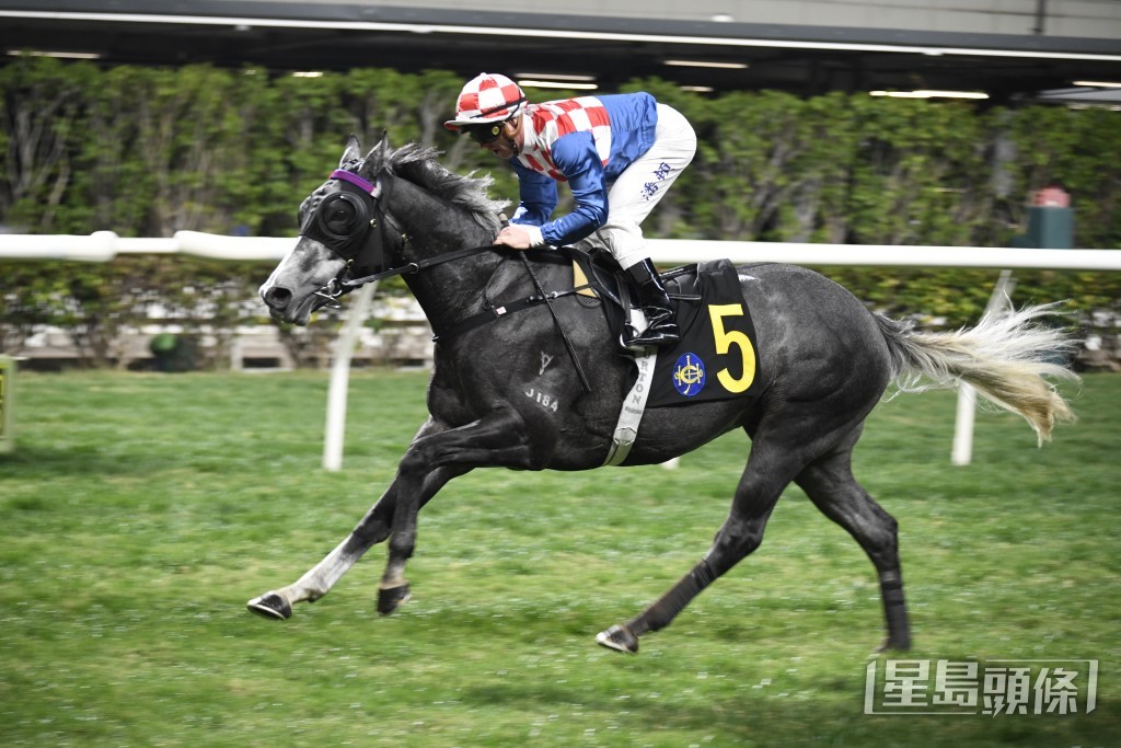 「超勁火力」踏入四歲後進步神速。