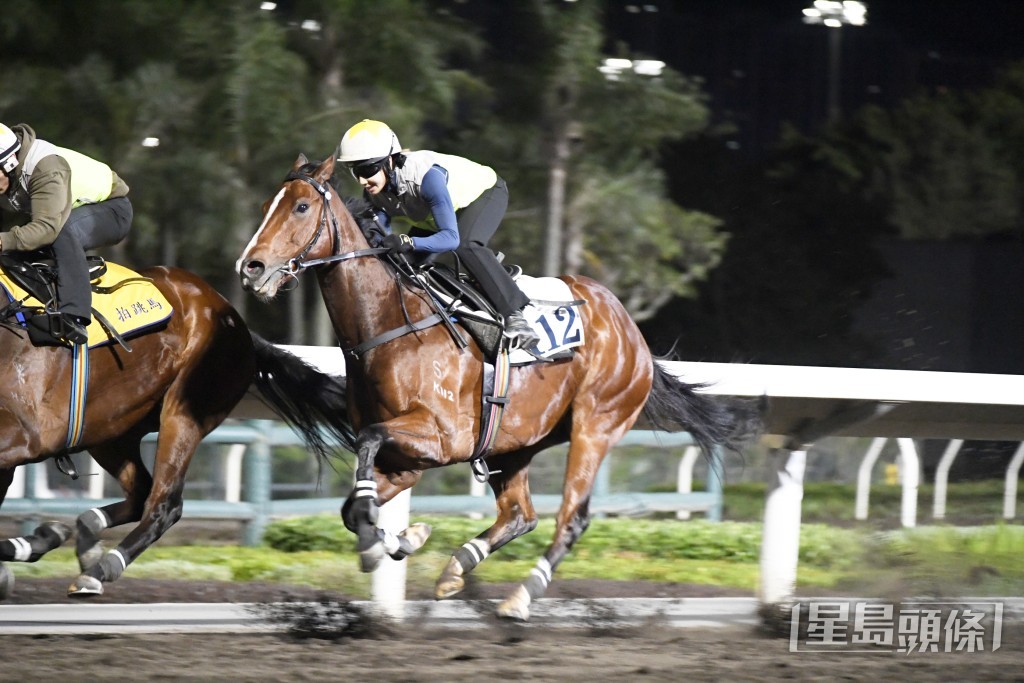 「飞跃成就」神色活跃火气好，近况极之出色。