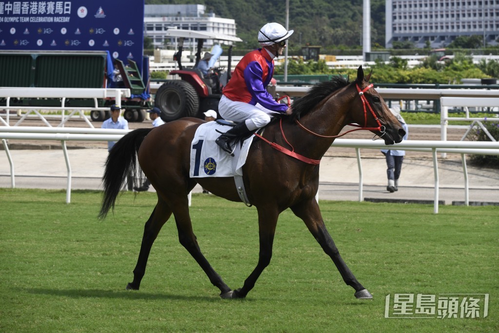 「安騁」已開氣今戰弗得多，計馬能力不遜任何對手，在此力足捧盃。   