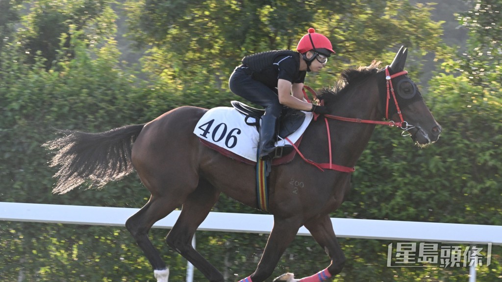 「知道穩勝」細馬身壯展現線條美，且火氣冒升不少。