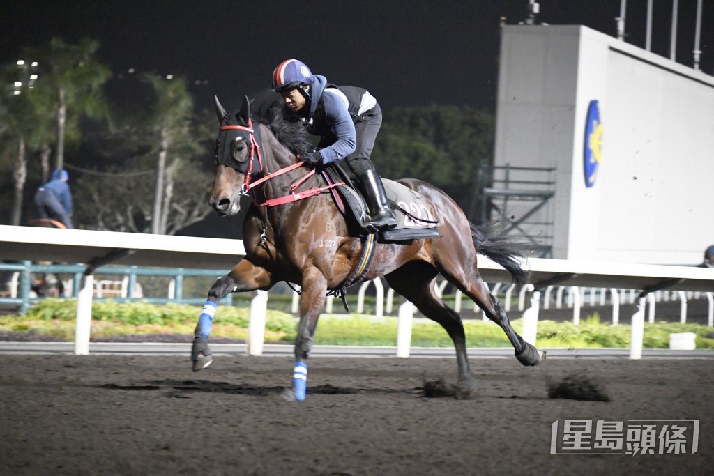 「追風」充滿活力神態生猛，論態極佳不遜勝時。