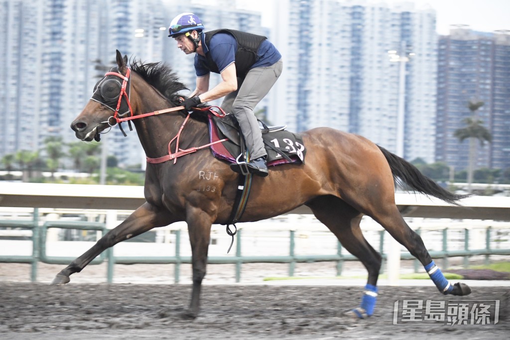 「德心知遇」回程時擔高馬頭，贏開特別醒神。