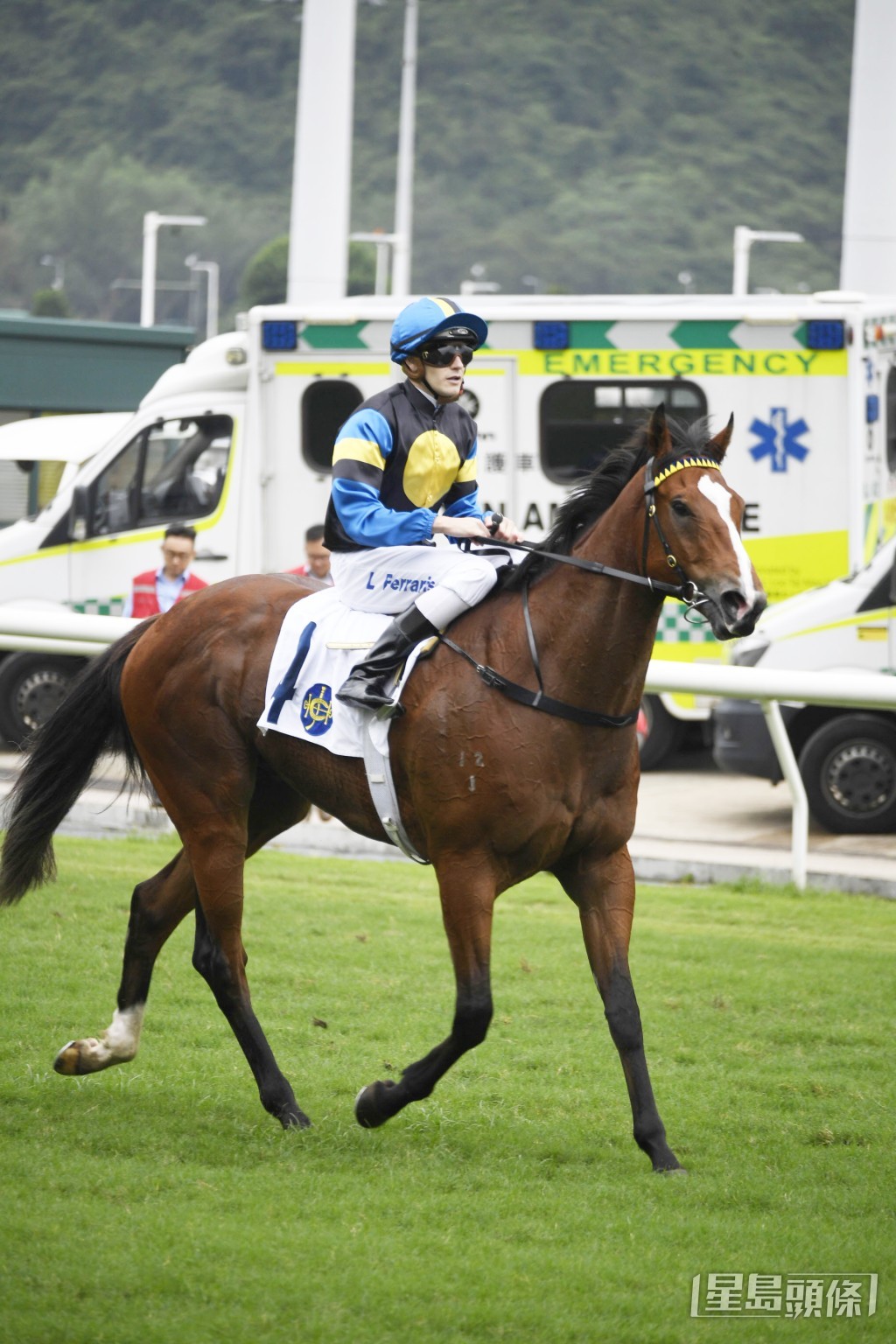 「晒冷」今季先後取得一亞一季。