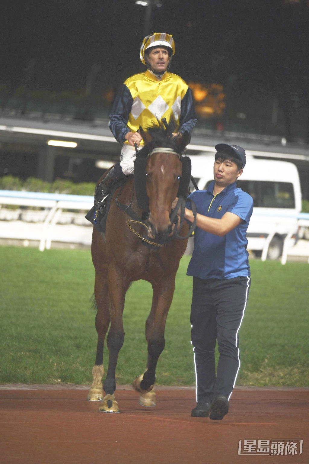 「禾道威」明晚将列阵第三场四班二千二百米。