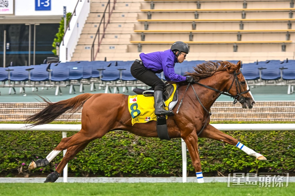 「濠城」在沙田出操。