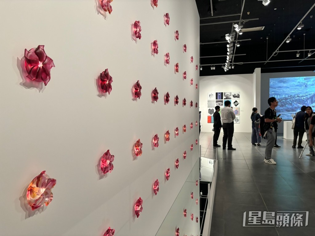 展館中設有紫荊花牆展品。脫芷晴攝