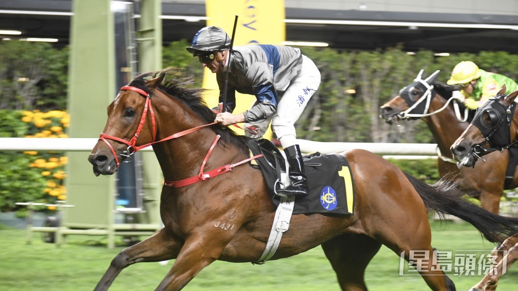 「馬力」上季取得三捷。