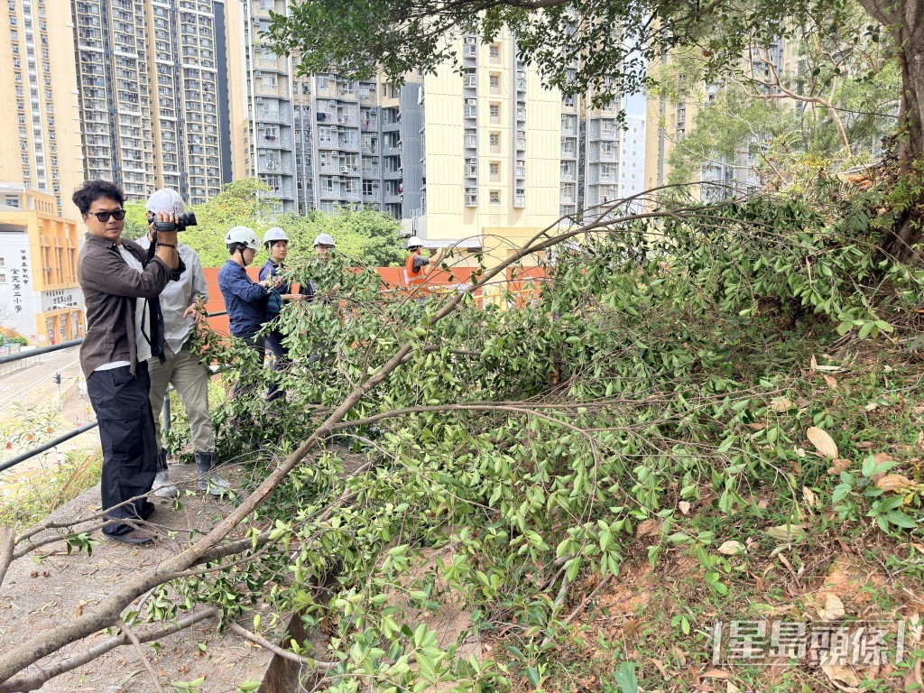 房署職員到山坡勘察環境。 房署職員到山坡勘察環境。