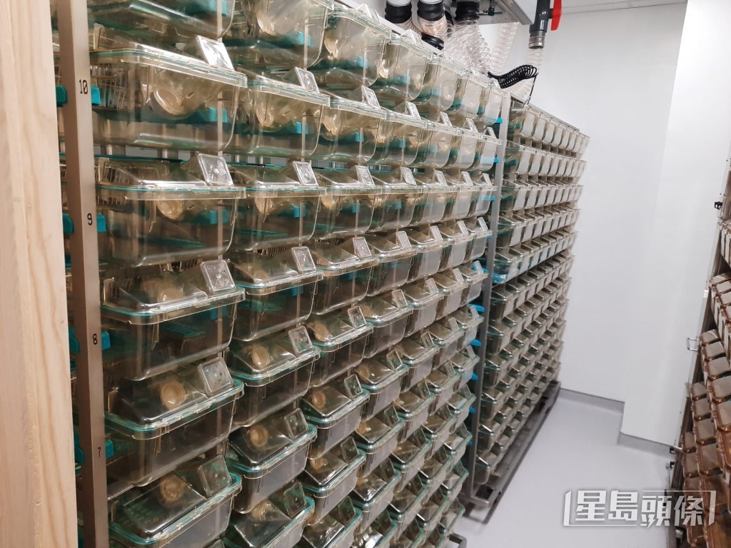 生命健康科技是焦點領域之一。資料圖片 生命健康科技是焦點領域之一。資料圖片