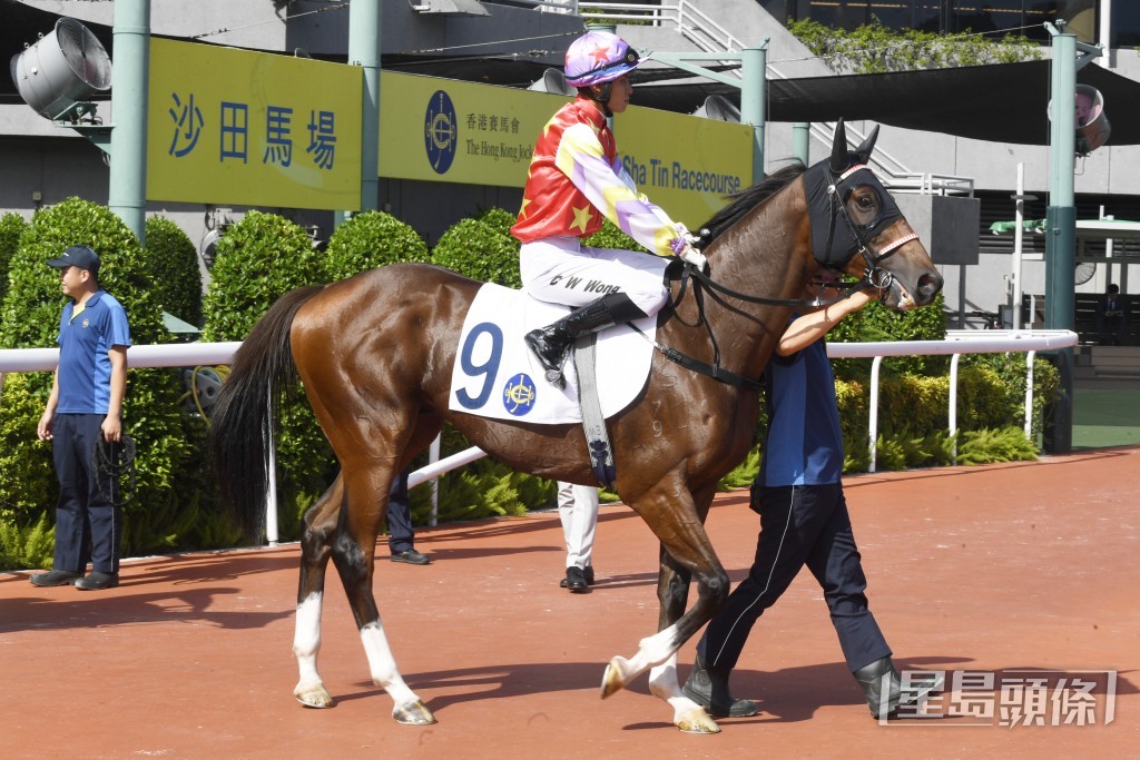 「欢乐老挝」今次负磅不重，应有机会跑得好。