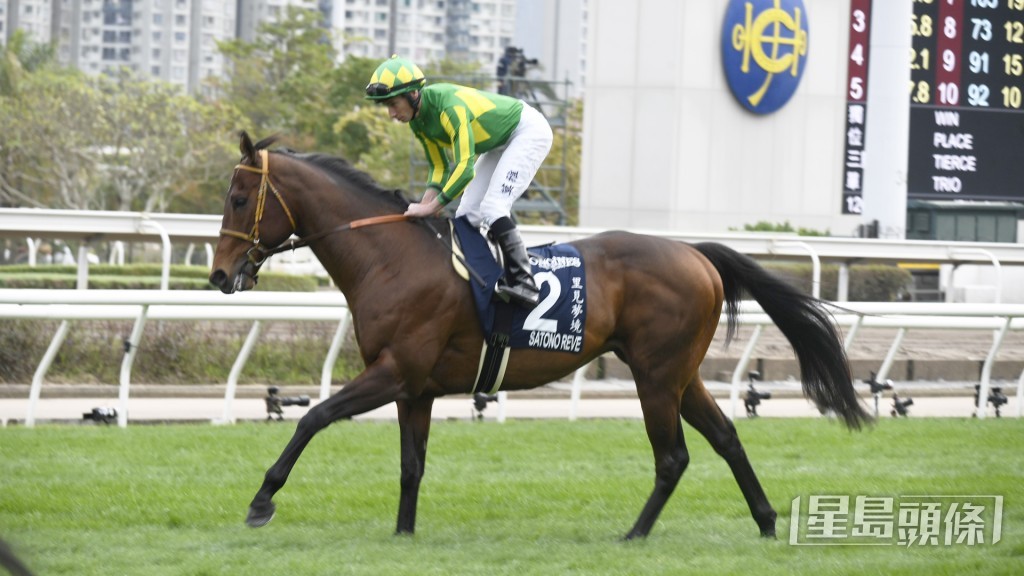 「里見夢境」相片來源：香港賽馬會（Focus on Racing）