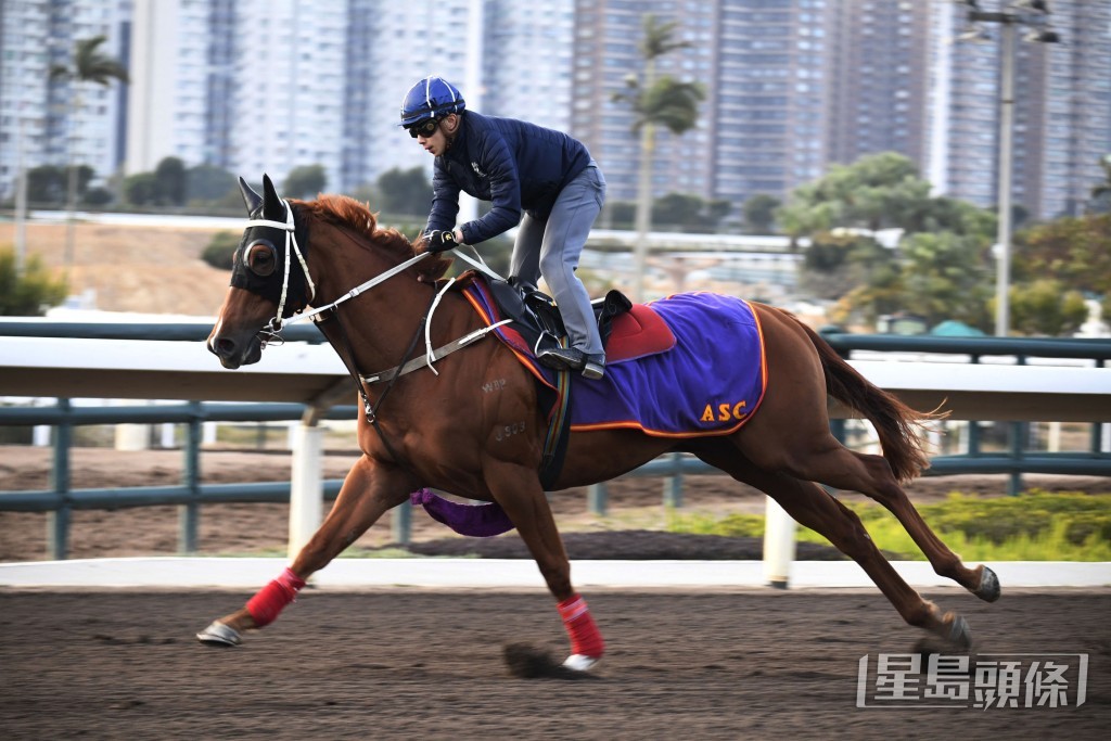 「得道猴王」走勢爽勁，狀態相當吸引。