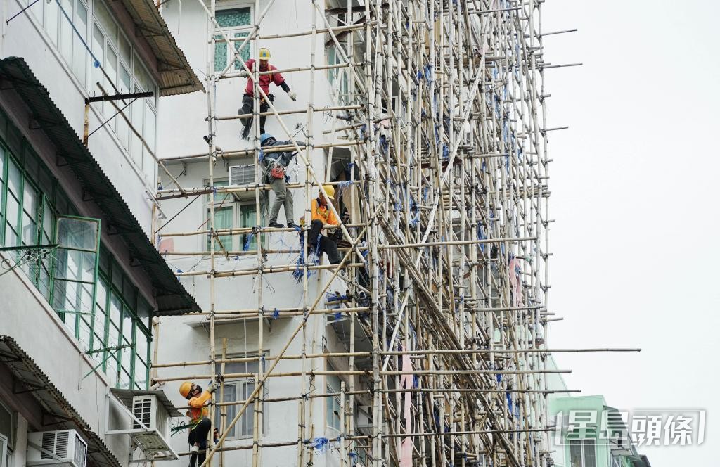 官方要求3天內拆除棚網，有承建商以高價「搶聘」技工。