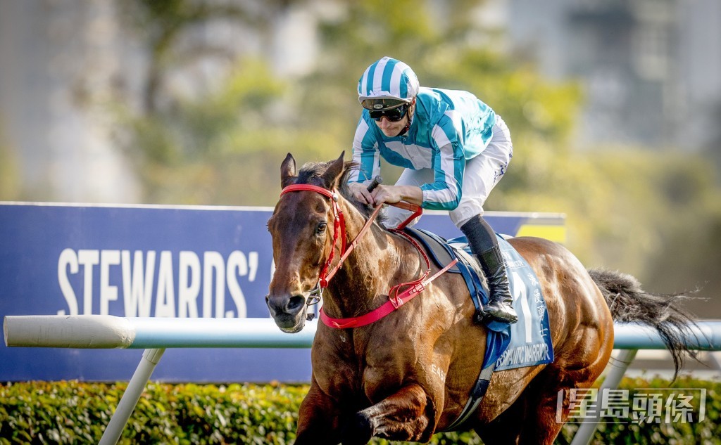 「浪漫勇士」已有超过两年未曾在香港落败，周日将力争取得在港第十三次于2000米赛事取胜。