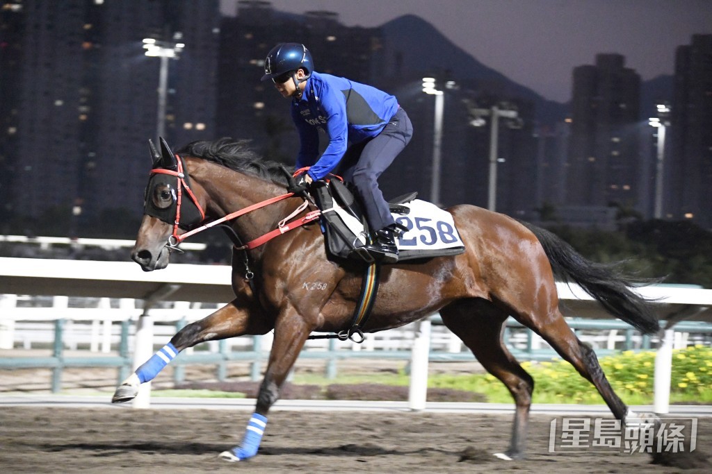 「至尊瑰寶」表現乖巧神態軒昂，愈贏愈省鏡。