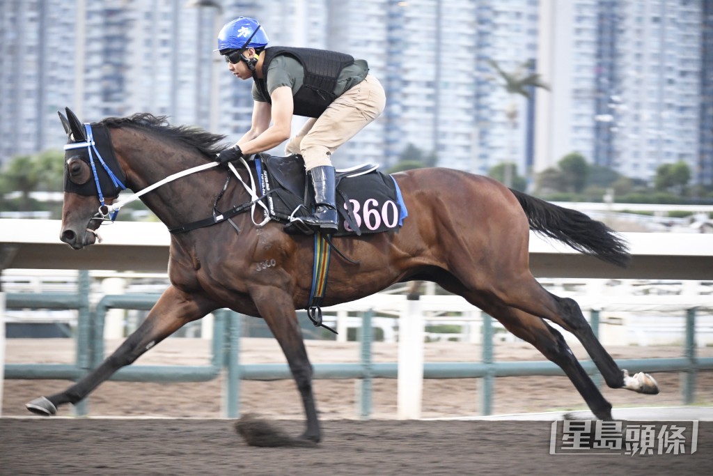 「三军勇将」双耳烔烔目光锐利，状态弗到震。