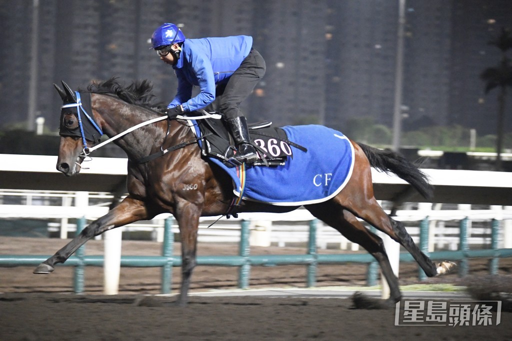 「三軍勇將」步檻得闊又夠力。