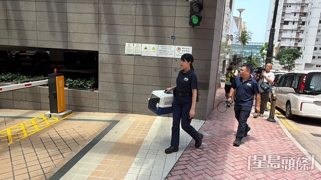 愛協人員奉召到場。劉漢權攝 愛協人員奉召到場。劉漢權攝