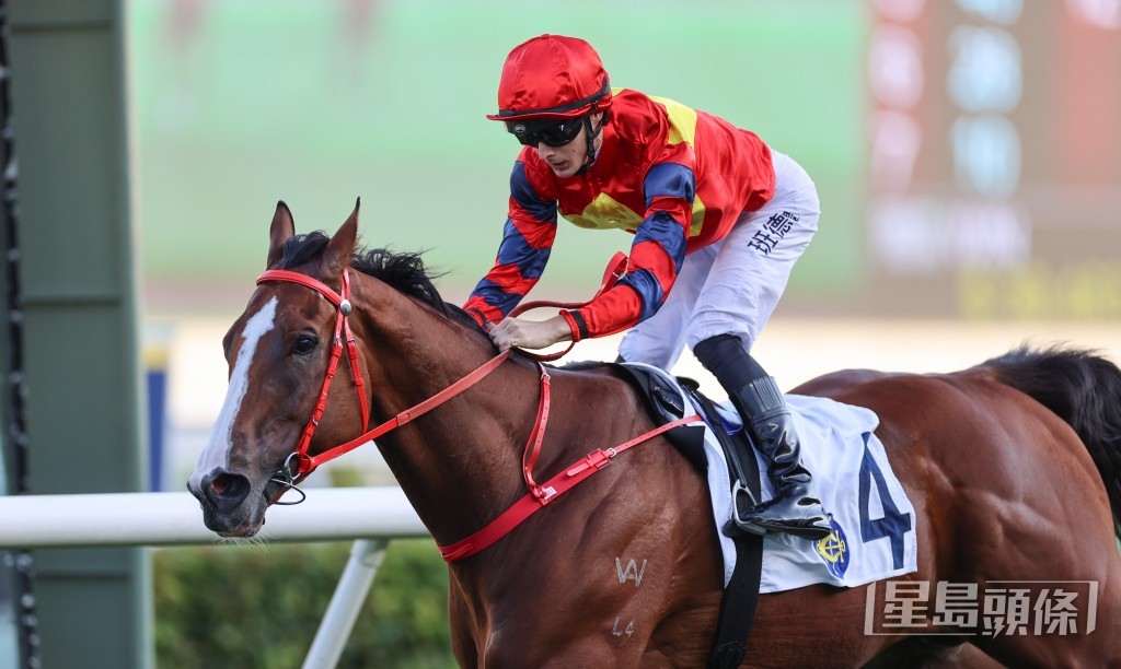 班德礼曾伙拍「醒目高球」三度取胜。 班德礼曾伙拍「醒目高球」三度取胜。