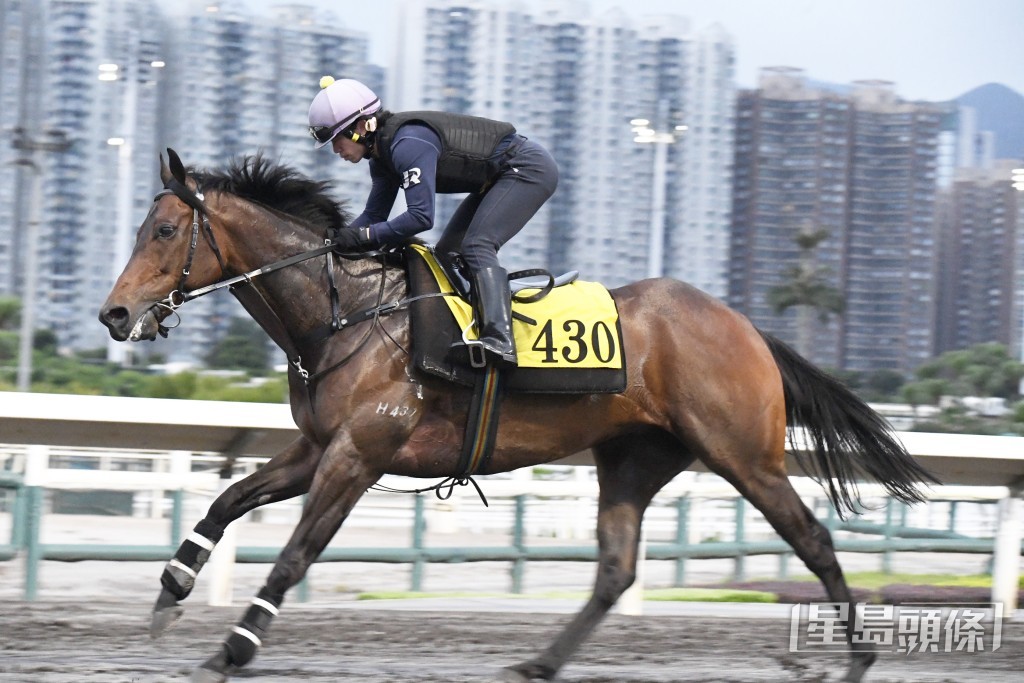 「城中勇士」扣住而馳心火湧現，有進無退。
