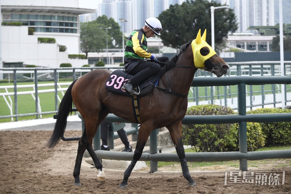 「豐盛」周三有望收復前失，贏回一場頭馬