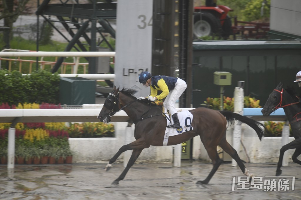 「天時明駒」先後三度由霍宏聲策騎，在泥地一六五零米贏馬。