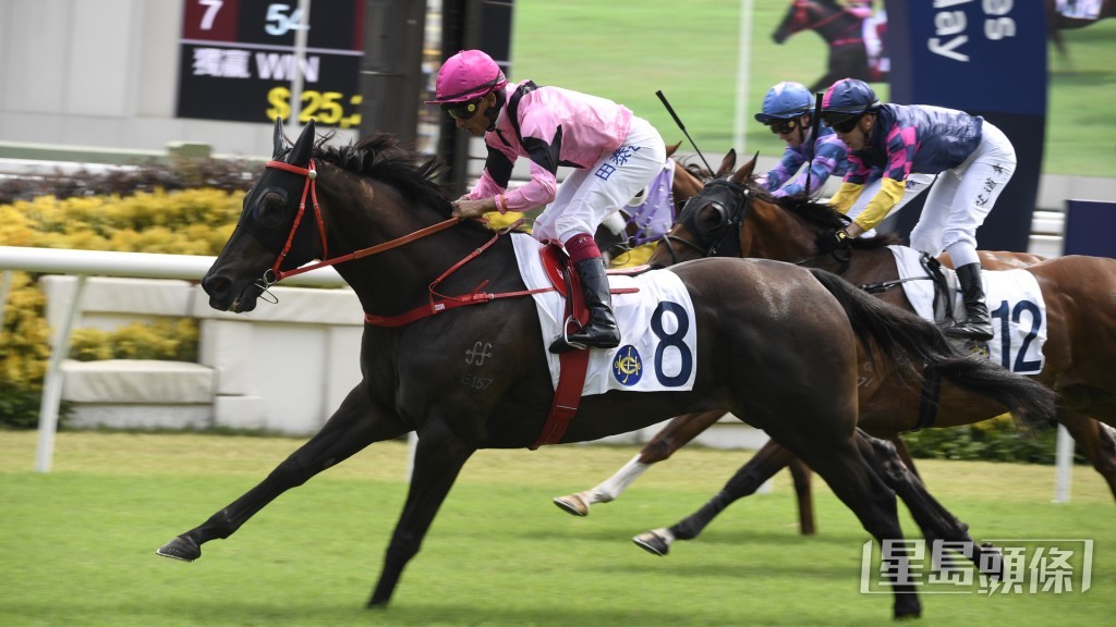 「好運寶馬」今仗面對的對手實力不算突出，依然具有爭勝機會。