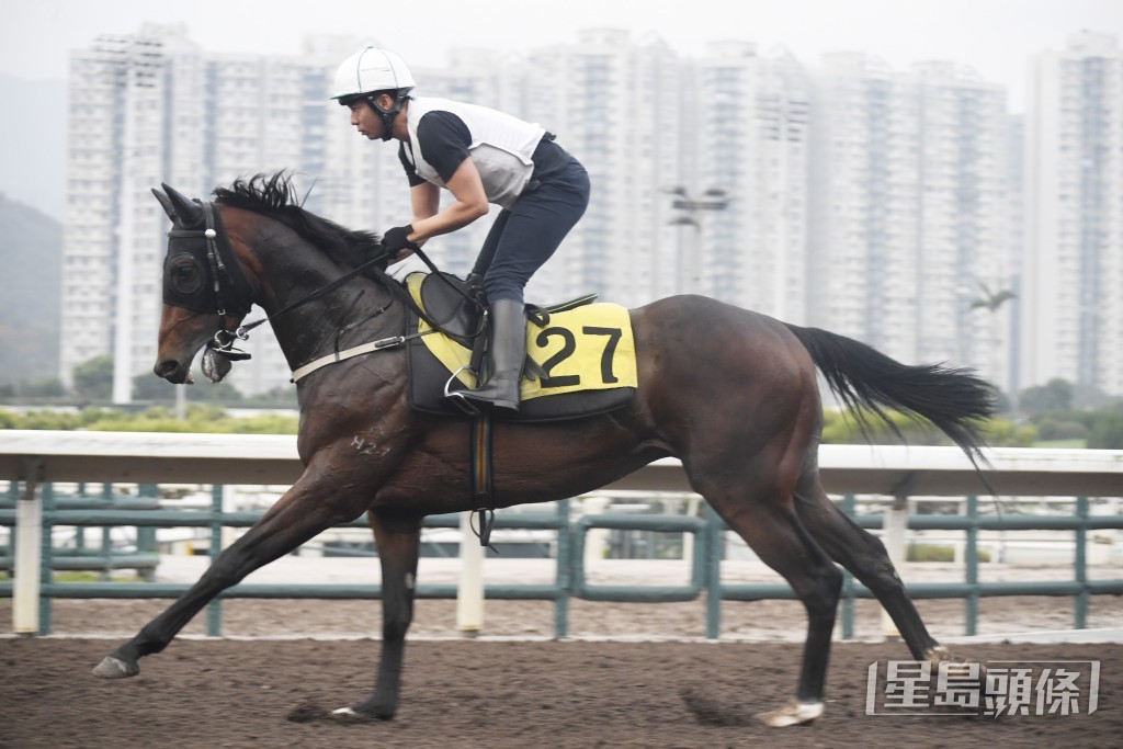 「武林至尊」走勢利落有彈力，埋門狀態顯著冒升。