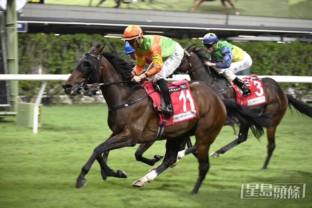 「添开心」在港已累积五场头马。