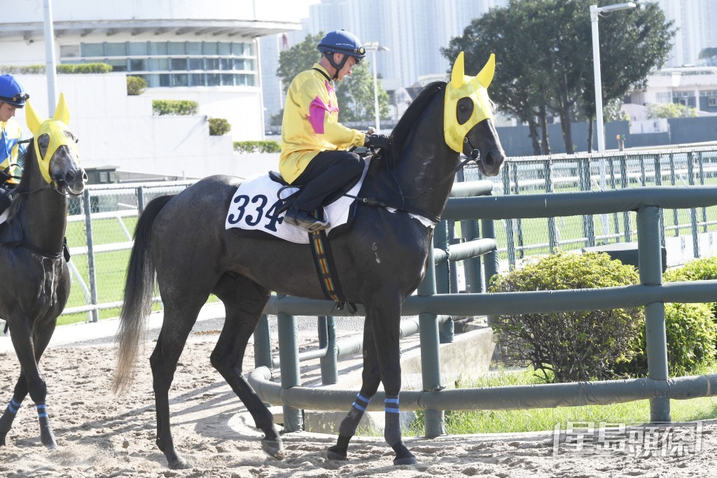 「渡月橋」身靚全身肌肉，有進無退弗到漏油。