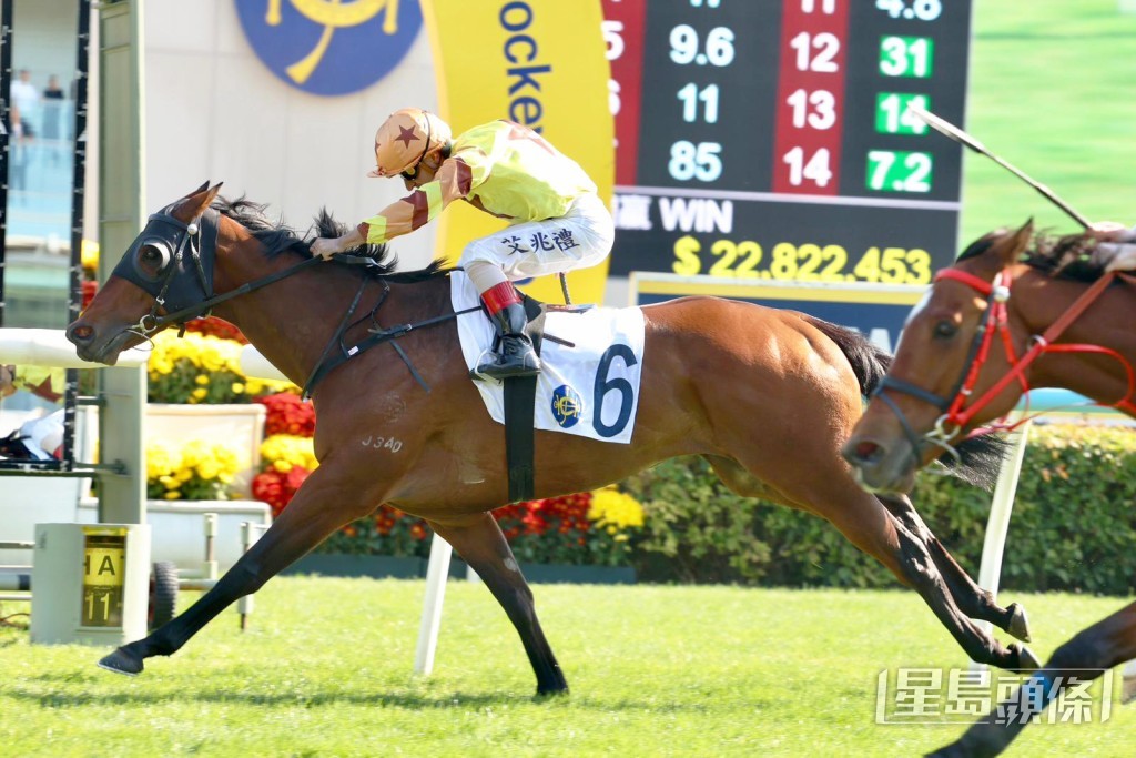 「进傲星」最近在田草千四米取得一冠一亚。