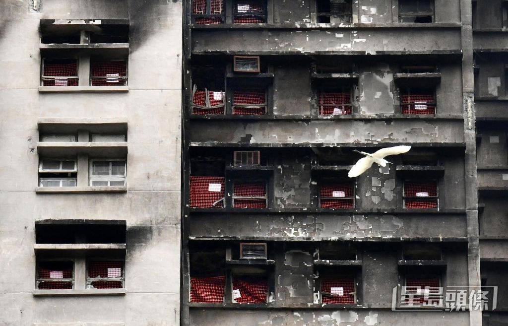 心理學家建議居民先擬定「上樓」人選及執拾物品清單。