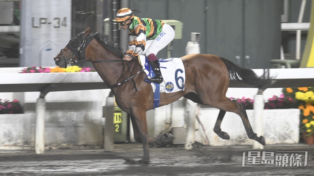 「運來勇士」和「東來欣賞」同跑第六場四班1200米。