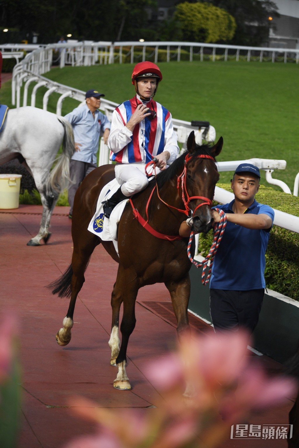 「耀寶」確認是一匹超級惡馬，今戰有望贏季內第三捷。