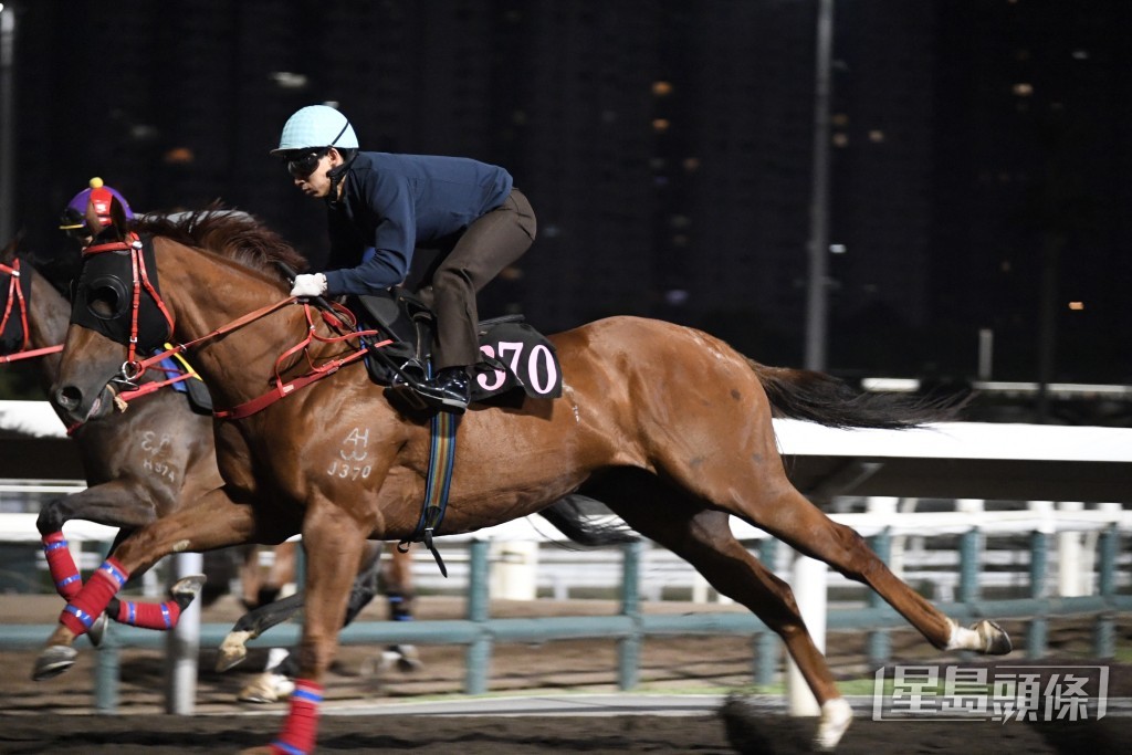 「加州本事」精神爽利走勢甚佳，步順輕巧神態暢旺。