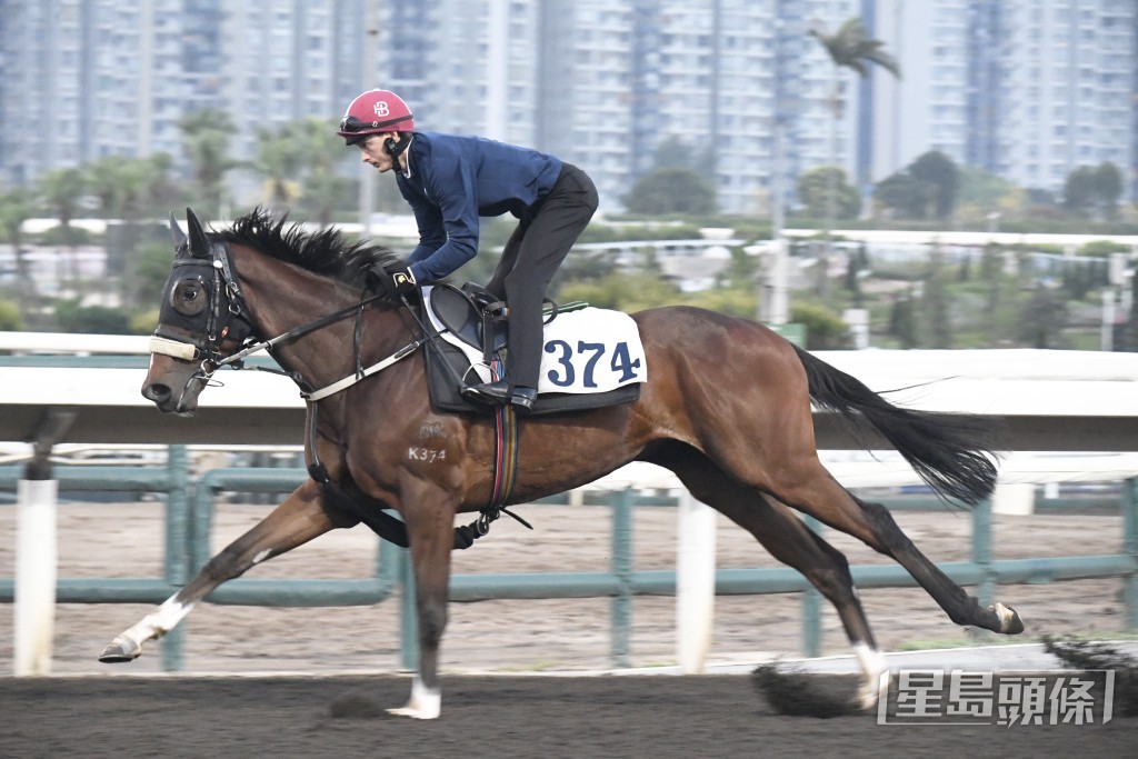 「滿洛城」神情專注步伐穩健，力度愈見提升。