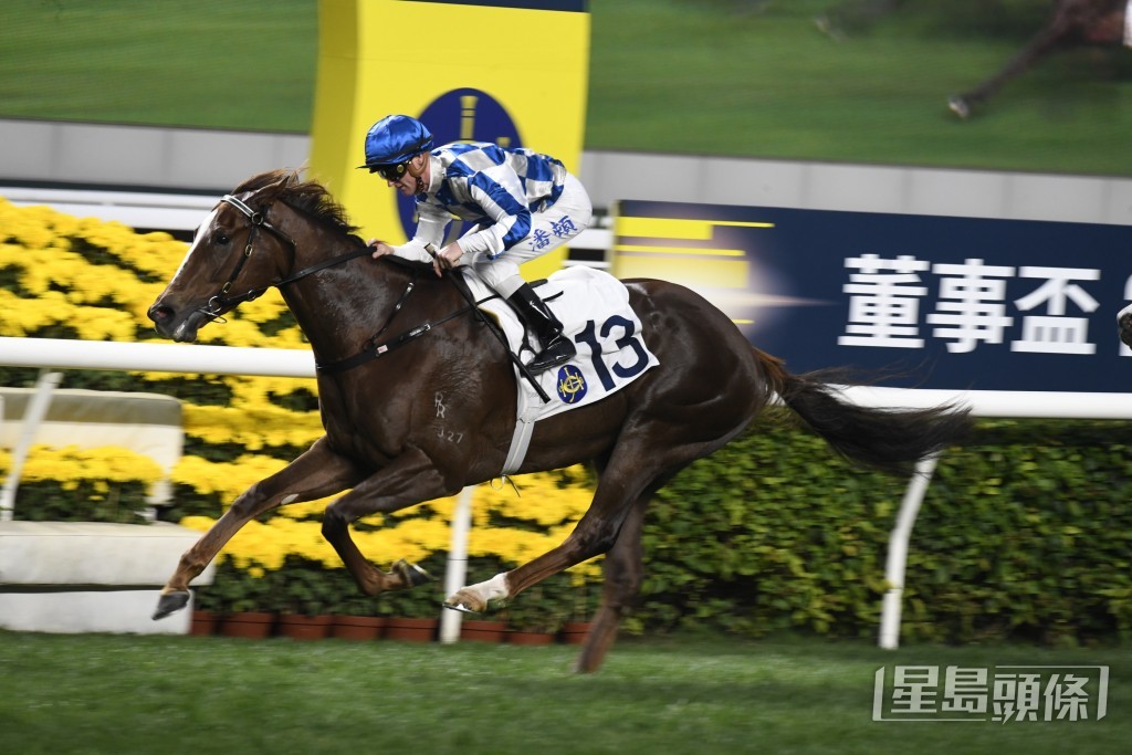 「風雲武士」再配潘頓出戰合適路程，望能贏回一場頭馬。