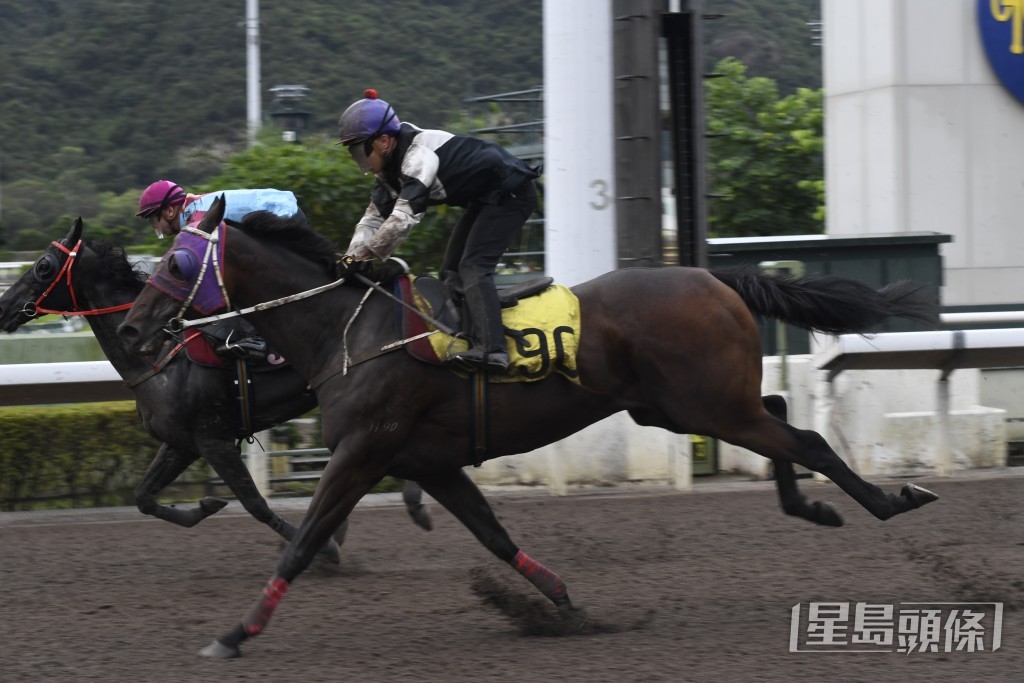 「時時稱心」埋門火力不斷提升，狀態在爭勝水準。