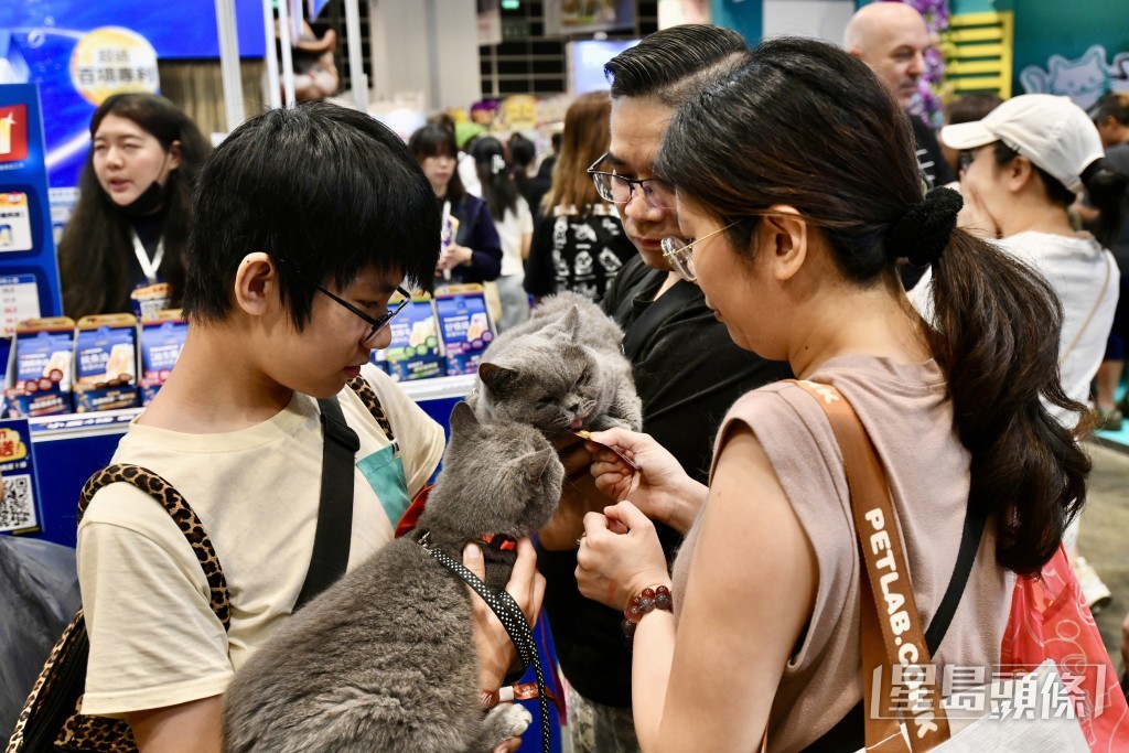 今屆展會邀請超過185間參展商、合共400個展位進駐。盧江球攝