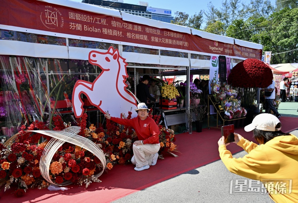 配合馬年，維園年宵亦有馬年裝飾。