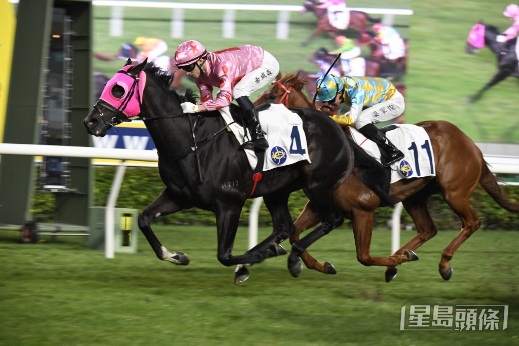 希威森將夥拍「禪勝輝煌」角逐香港經典一哩賽。