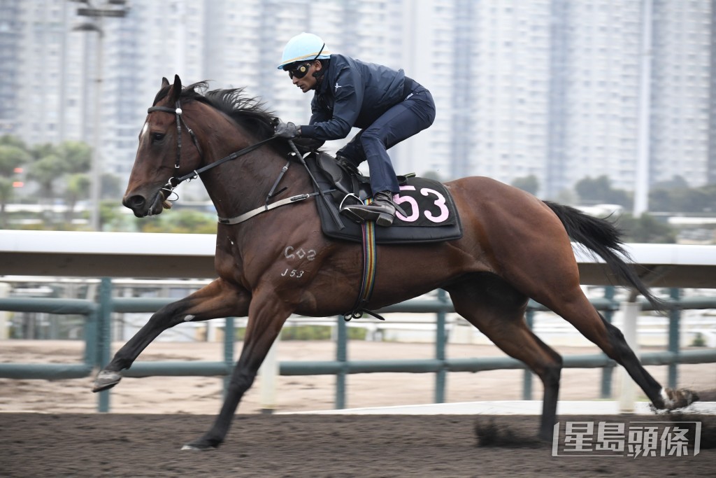 「久久為尊」步順力雄火氣充裕。